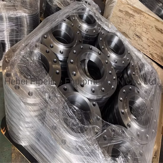 ANSI B165 Stainless Steel FF RF Socket Welding Neck Flanges