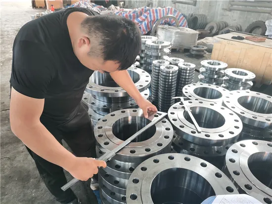 High Quality SS304 Forged Socket Welding Flange (YZF-C175)