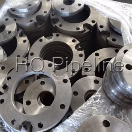 ANSI/DIN/En1092-1 Forged Carbon/Stainless Steel Pn10/16 Welding Neck/Blind/Slip on/Flat Plate/Socket RF/FF Pipe Flanges
