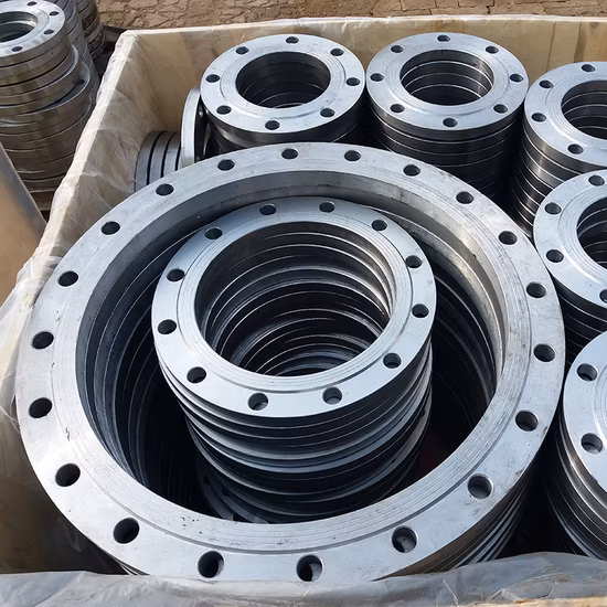 Large Diameter 2205 Duplex Stainless Steel Flange