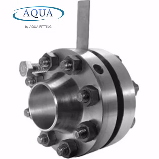 ANSI B16.5 Class 150-2000 Forged Carbon Steel RF Orifice Flange