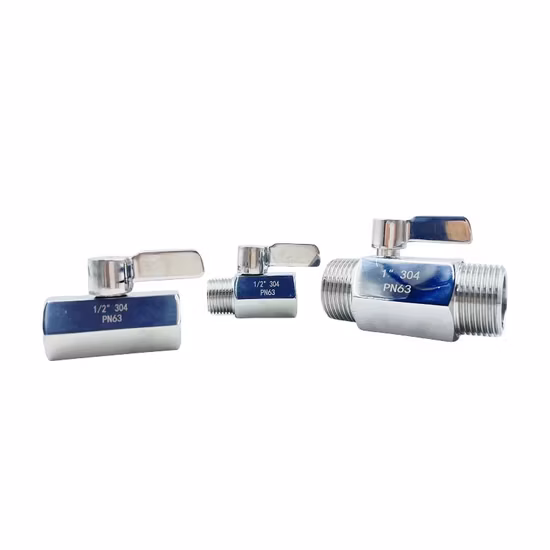 Water Fittings Mini Ball Valve Double Male Thread with Stainless Steel Handle